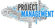 Project management